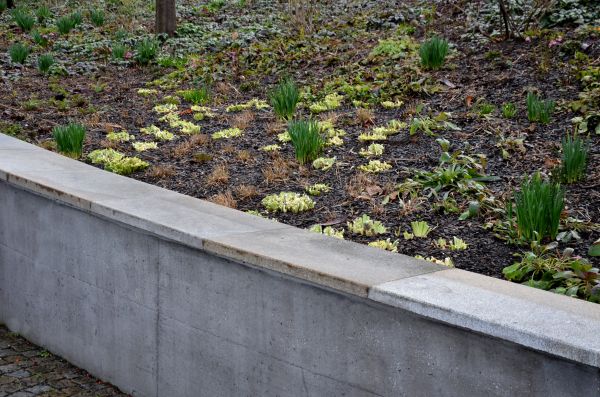 Concrete Wall Construction in Danbury