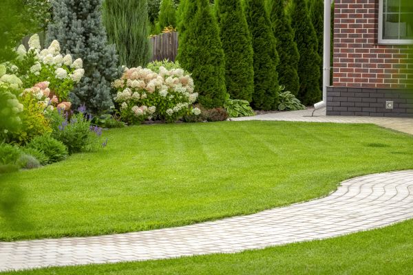 Landscape Walkway Installation in Danbury